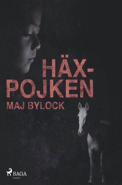 Maj Bylock : Häxpojken