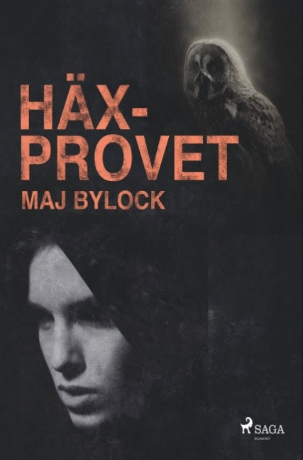 Maj Bylock : Häxprovet