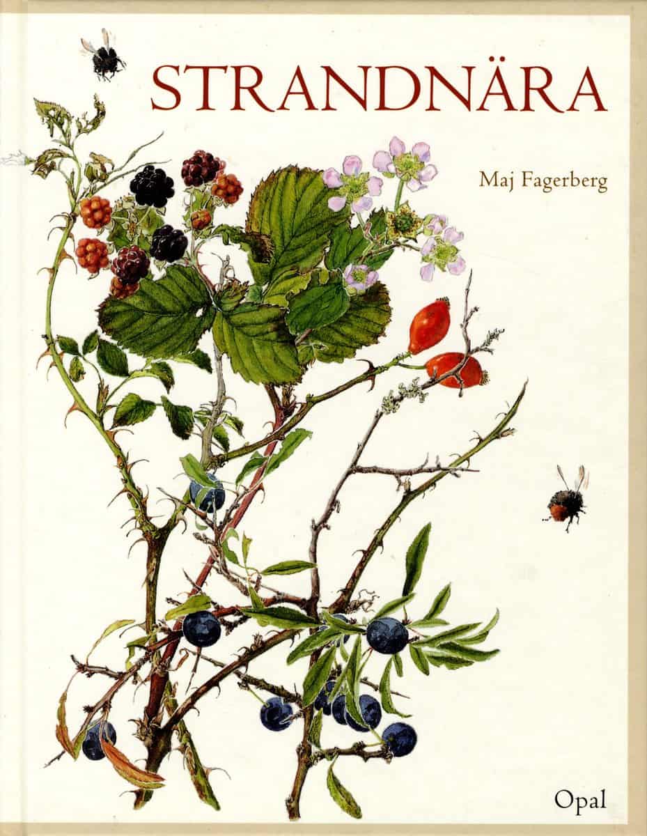 Maj Fagerberg : Strandnära