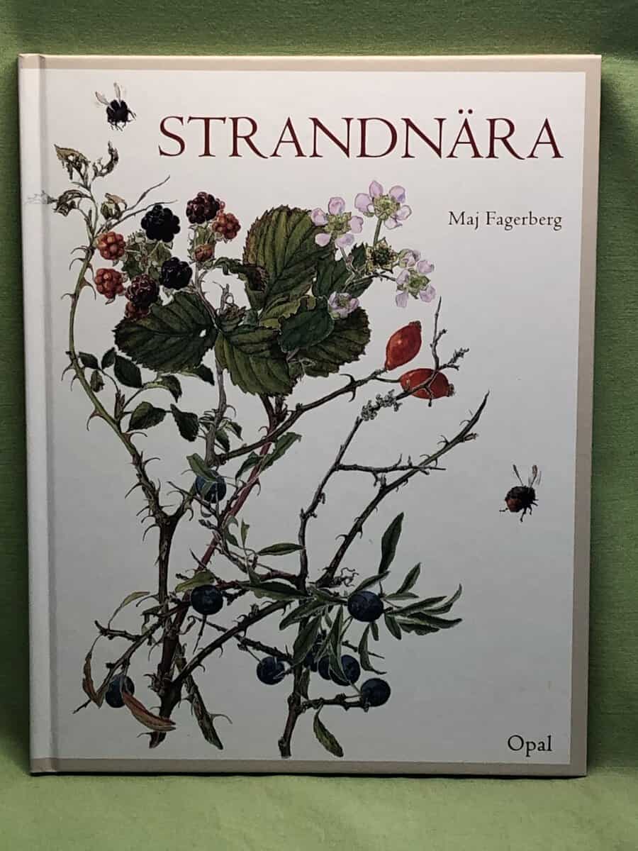 Maj Fagerberg : Strandnära