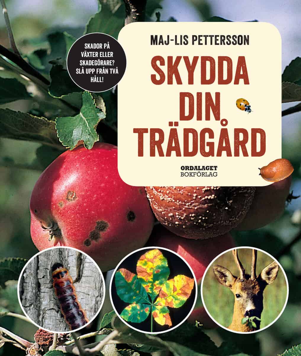 Maj-Lis Pettersson : Skydda din trädgård