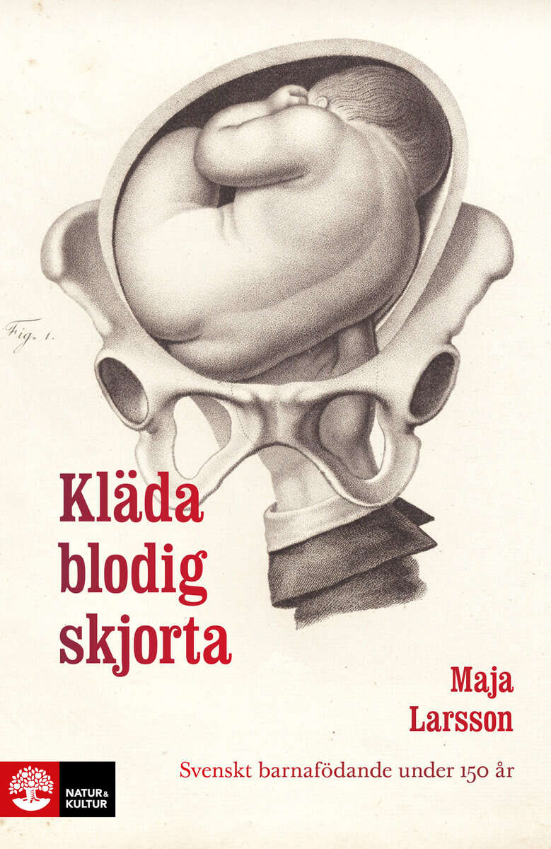 Maja Larsson : Kläda blodig skjorta : svenskt barnafödande under 150 år