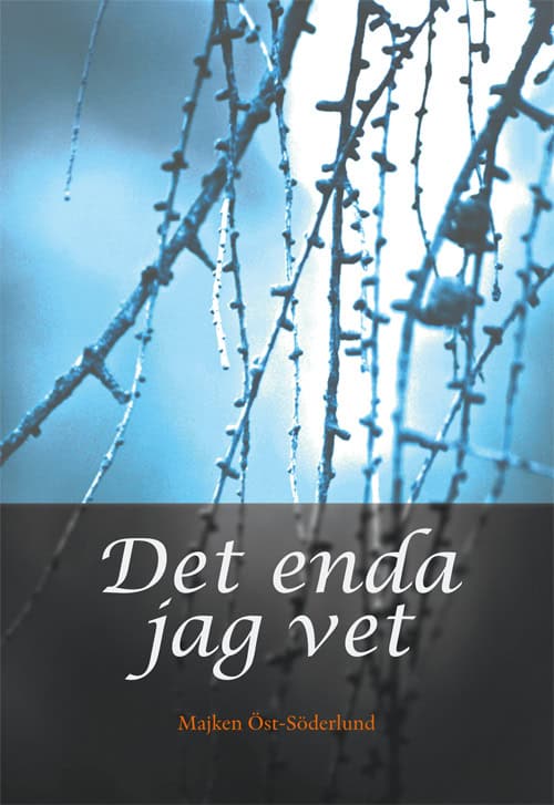 Majken Öst-Söderlund : Det enda jag vet
