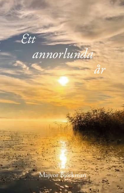 Majvor Björkman : Ett annorlunda år