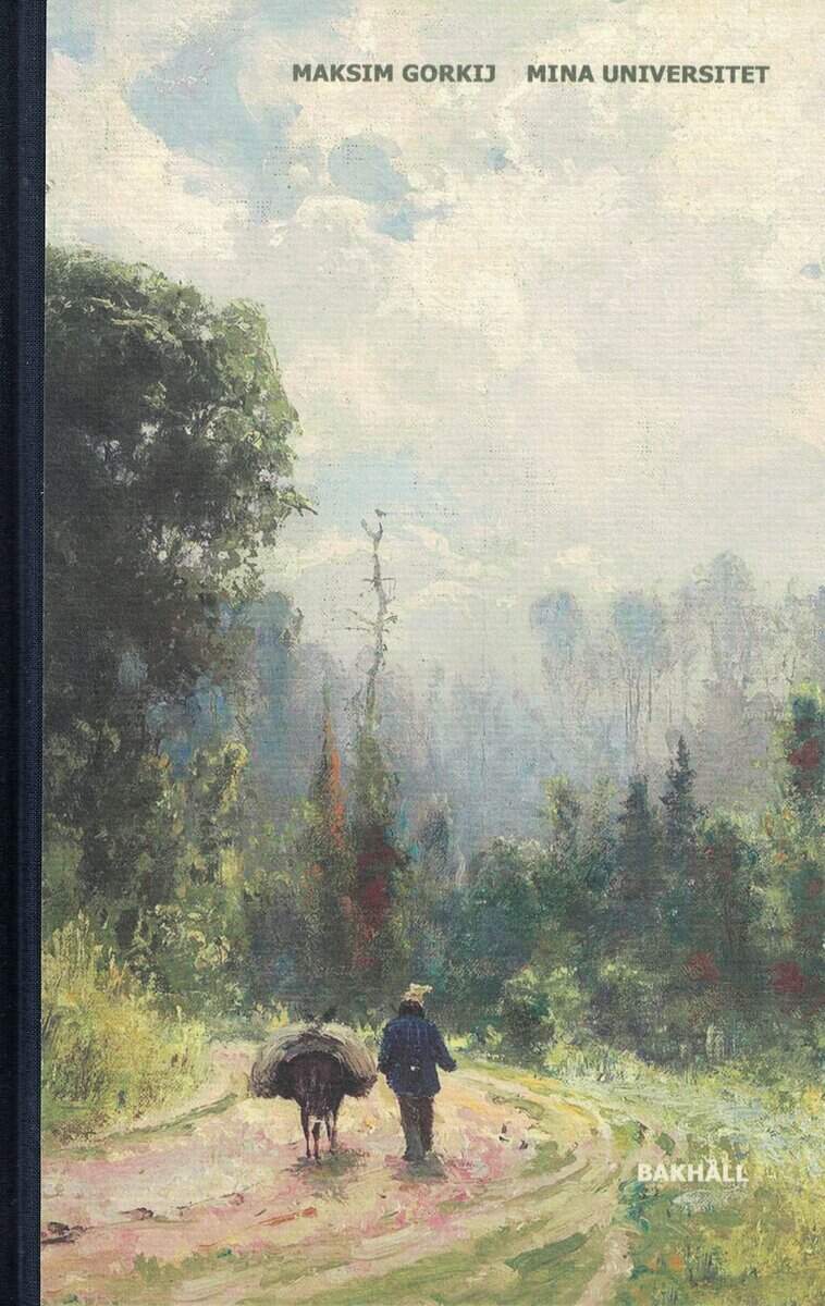 Maksim Gorʹkij : Mina universitet