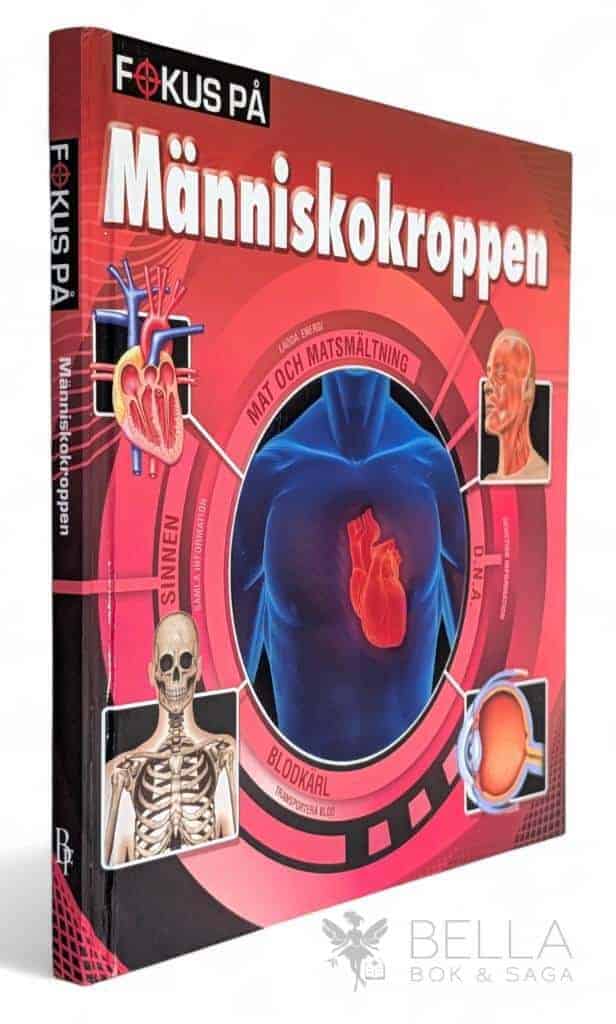 Malin Barthelson : Fokus på människokroppen