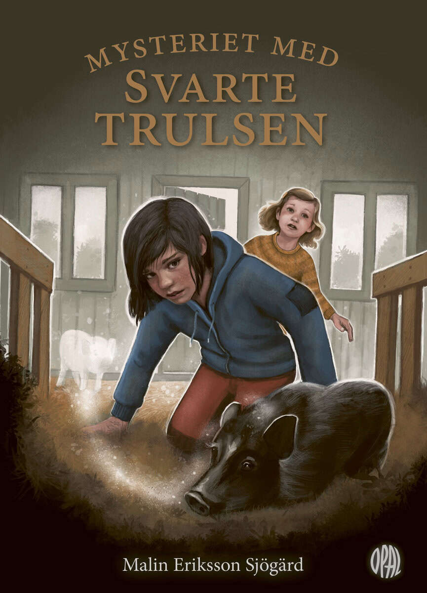 Malin Eriksson Sjögärd : Mysteriet med Svarte Trulsen