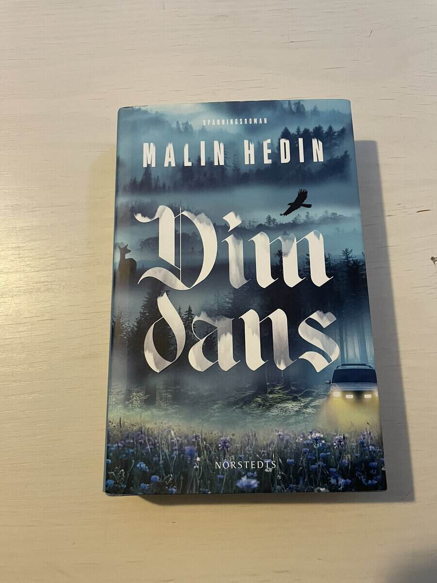 Malin Hedin : Dimdans