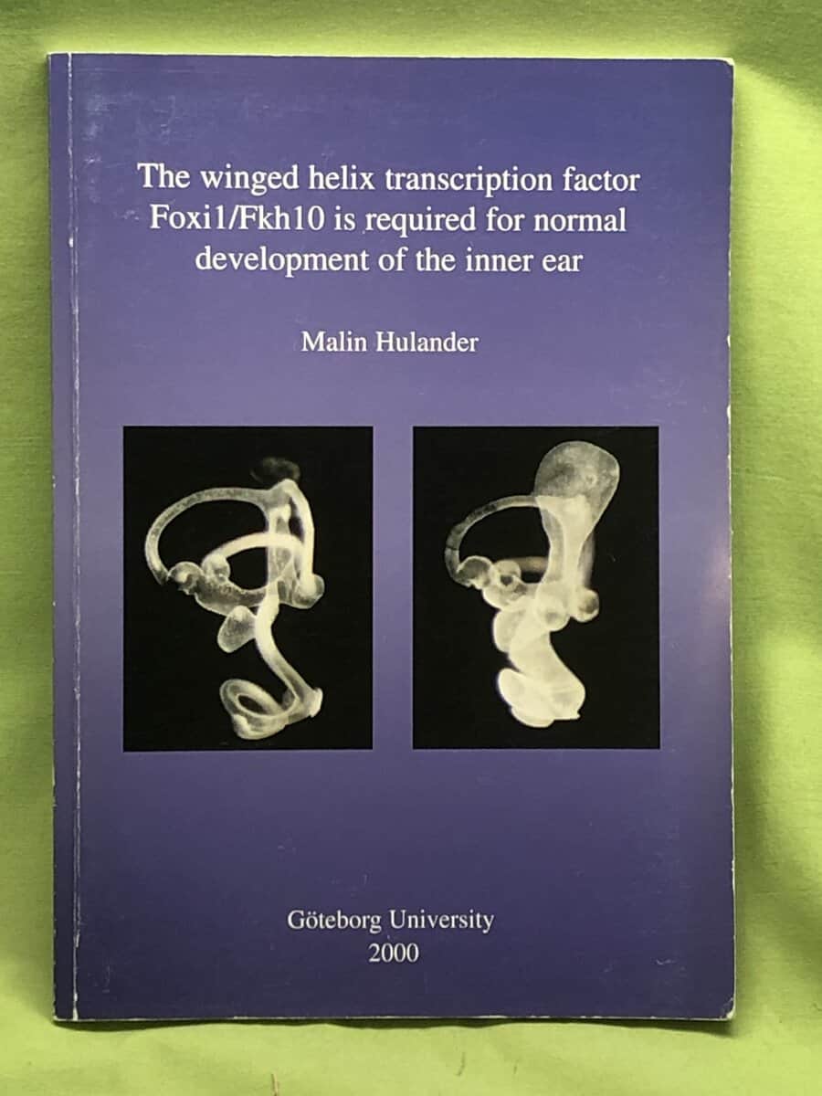 Malin Hulander : The winged helix transcription factor Foxi1/Fkh 10 is required fornormal development of the inner ear