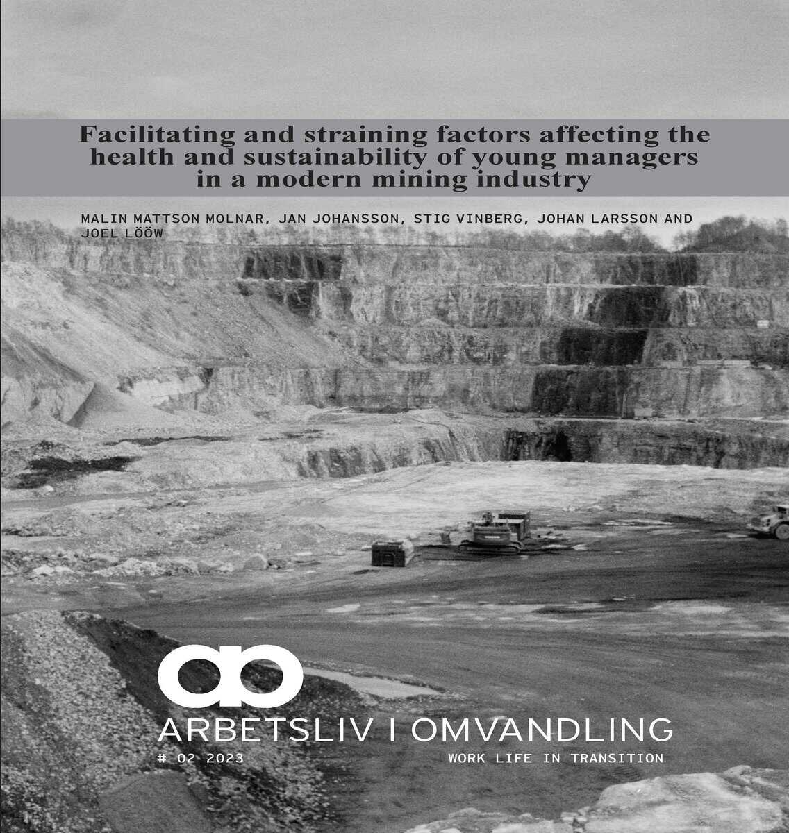 Mattson Molnar, Malin ; Johansson, Jan ; Vinberg, Stig ; Larsson, Johan ; Lööw, Joel : Facilitating and straining factors affecting the health and sustainability of young managers in a modern mining industry
