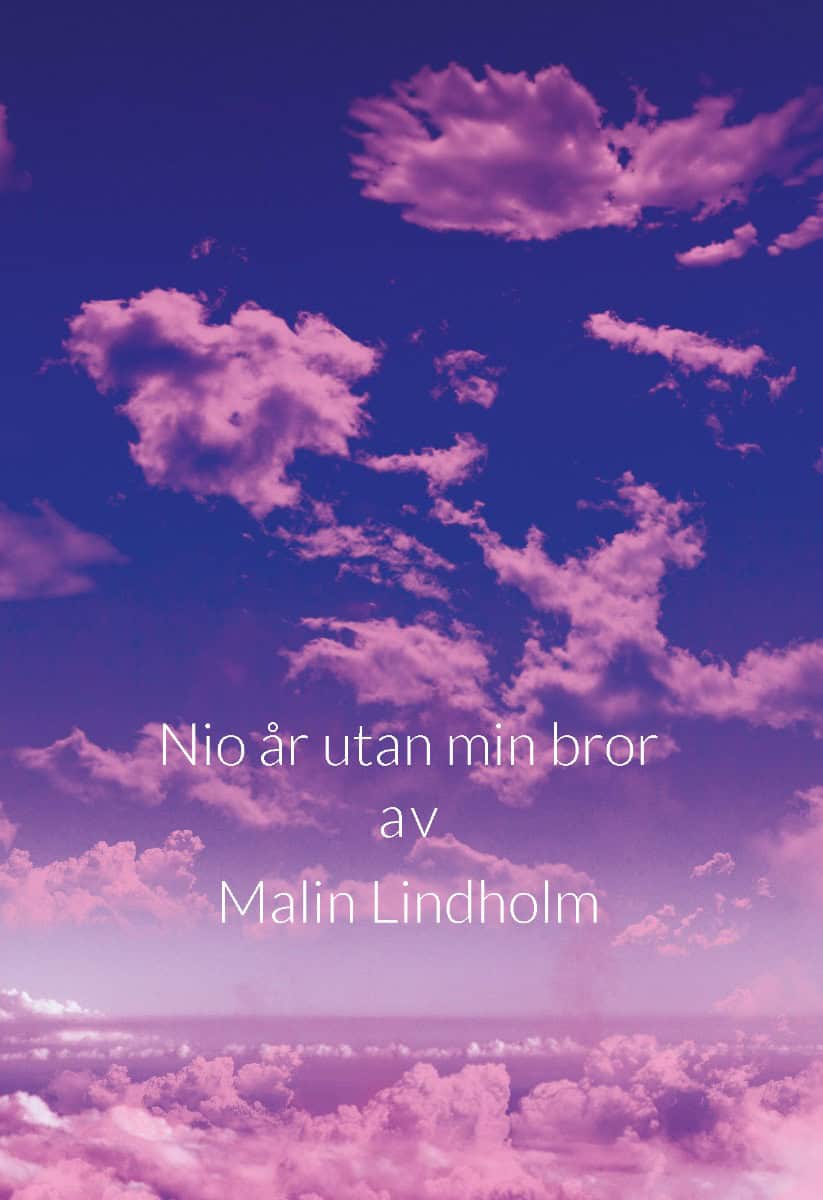Malin Lindholm : Nio år utan min bror