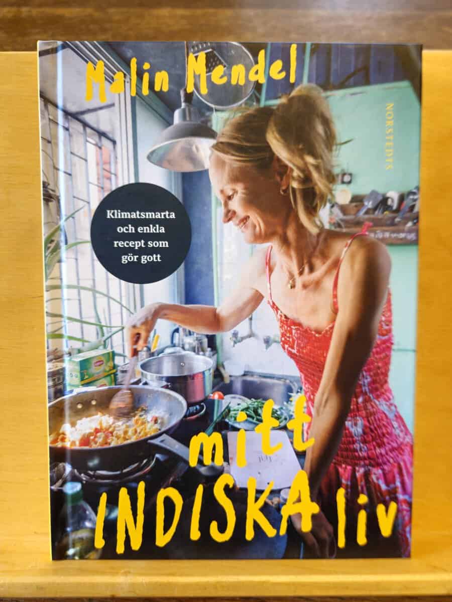 Malin Mendel : Mitt indiska liv