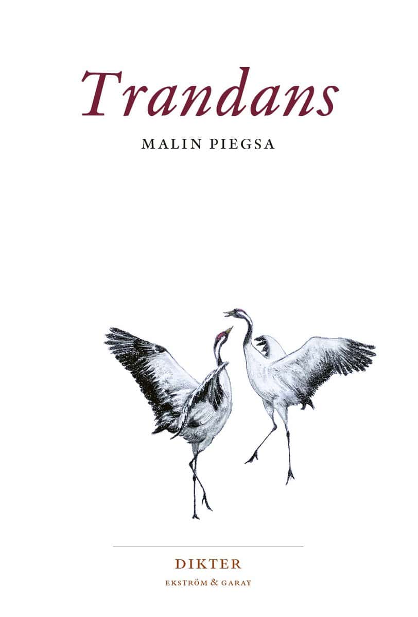 Malin Piegsa : Trandans