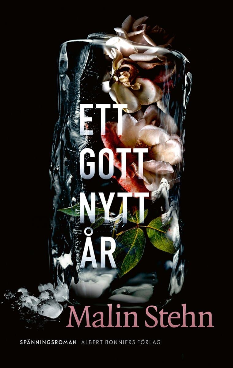 Malin Stehn : Ett gott nytt år