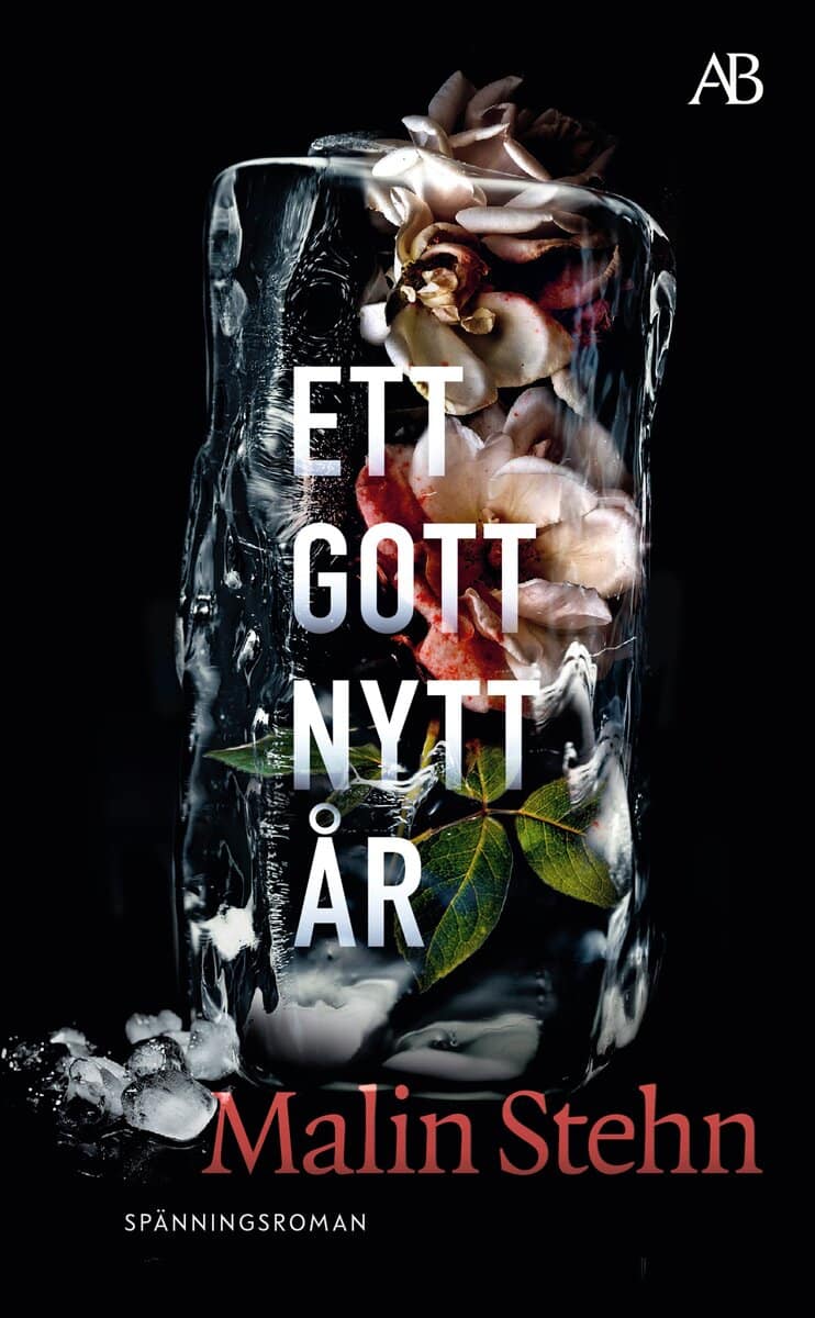 Malin Stehn : Ett gott nytt år