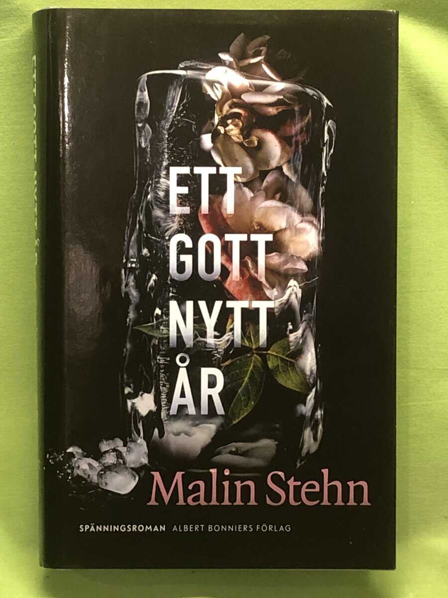 Malin Stehn : Ett gott nytt år