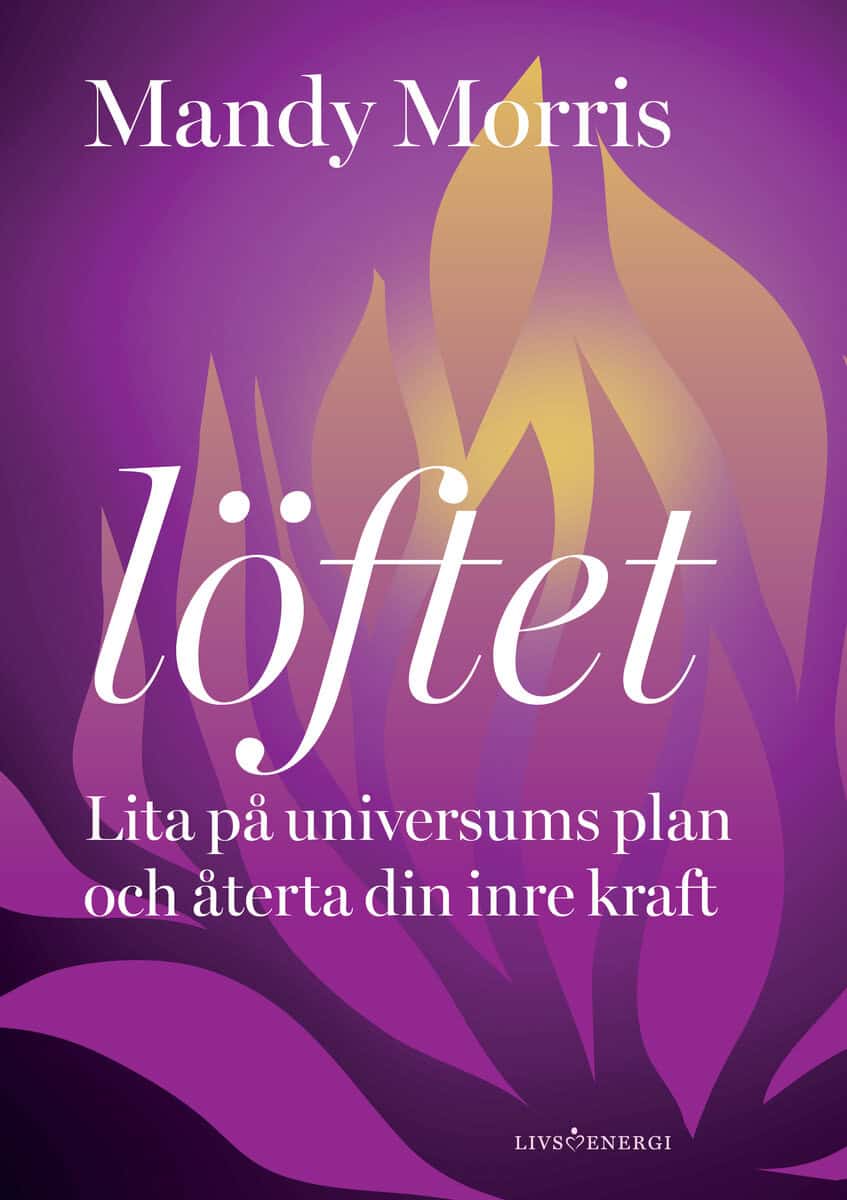 Mandy Morris : Löftet : lita på universums plan och återta din inre kraft