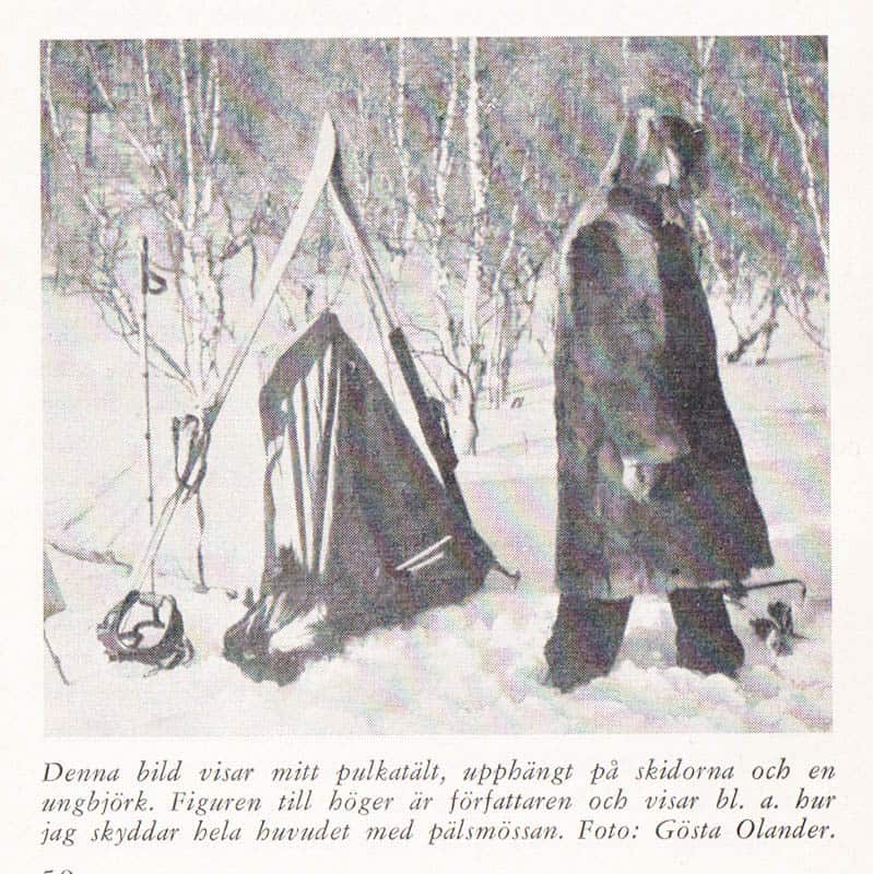 Manne Ginsburg : Till fjälls på skidor