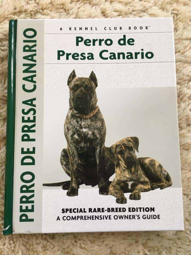Manuel Curto Gracia : Perro De Presa Canario
