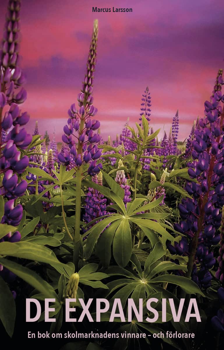 Marcus Larsson : De expansiva : en bok om skolmarknadens vinnare och förlorare