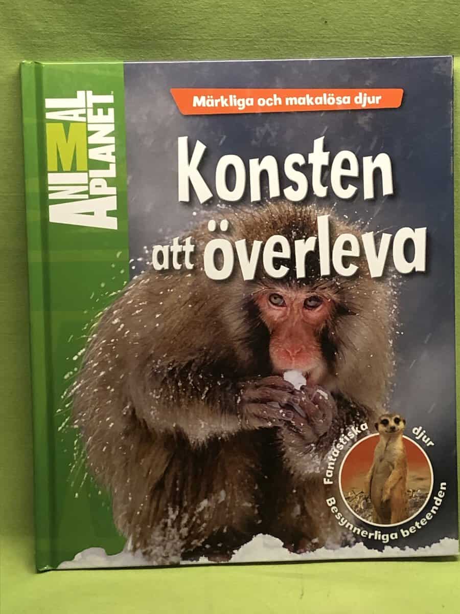 Margaret McPhee : Märkliga och makalösa djur