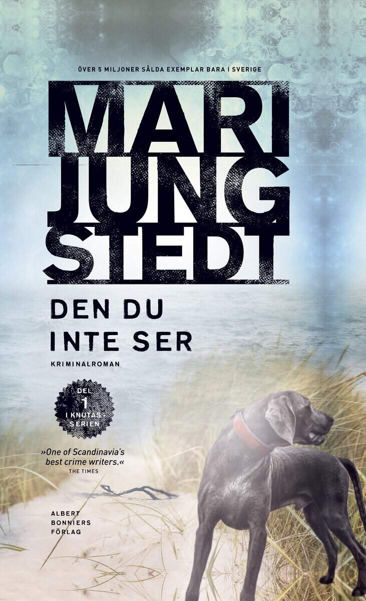 Mari Jungstedt : Den du inte ser