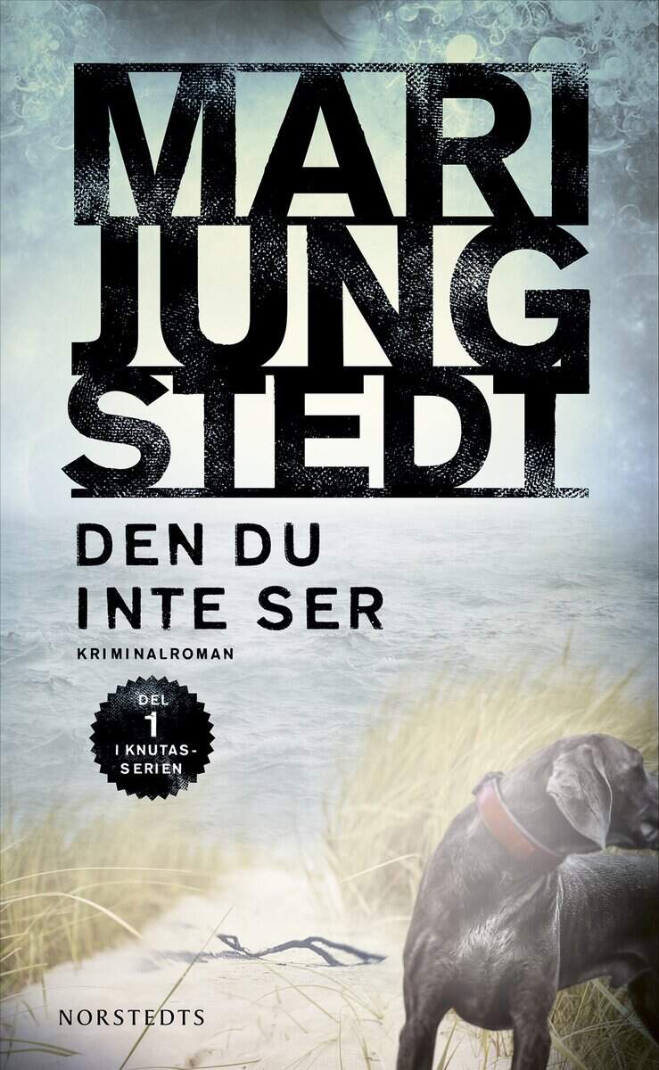 Mari Jungstedt : Den du inte ser