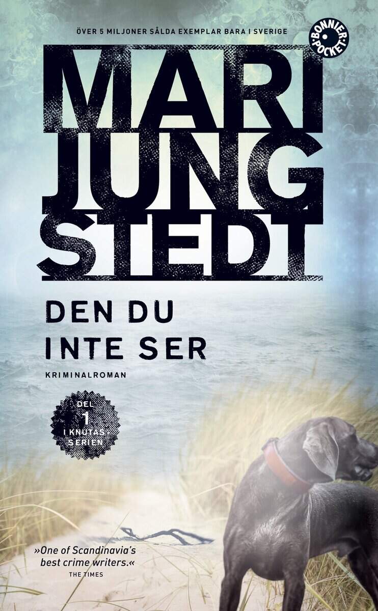 Mari Jungstedt : Den du inte ser