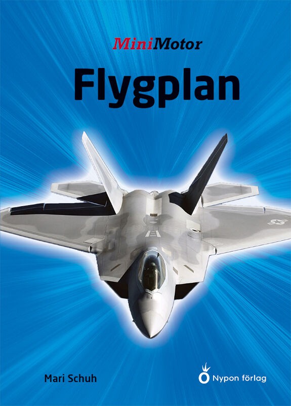 Mari Schuh : Flygplan