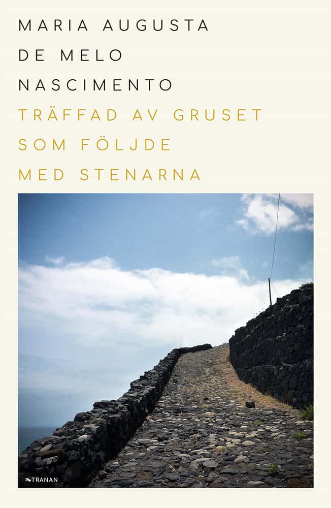 Maria Augusta de Melo Nasciemento : Träffad av gruset som följde med stenarna