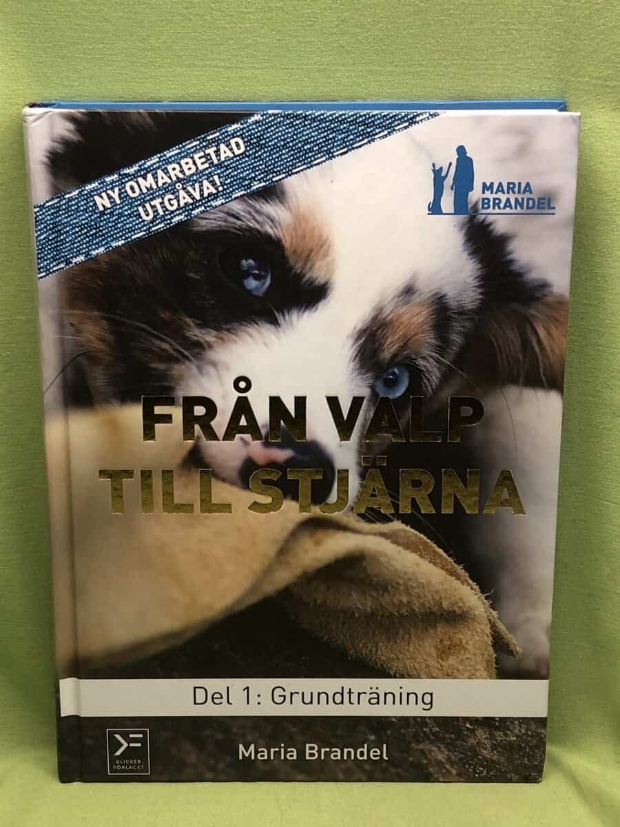 Maria Brandel : Från valp till stjärna