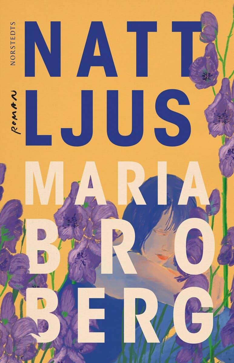 Maria Broberg : Nattljus