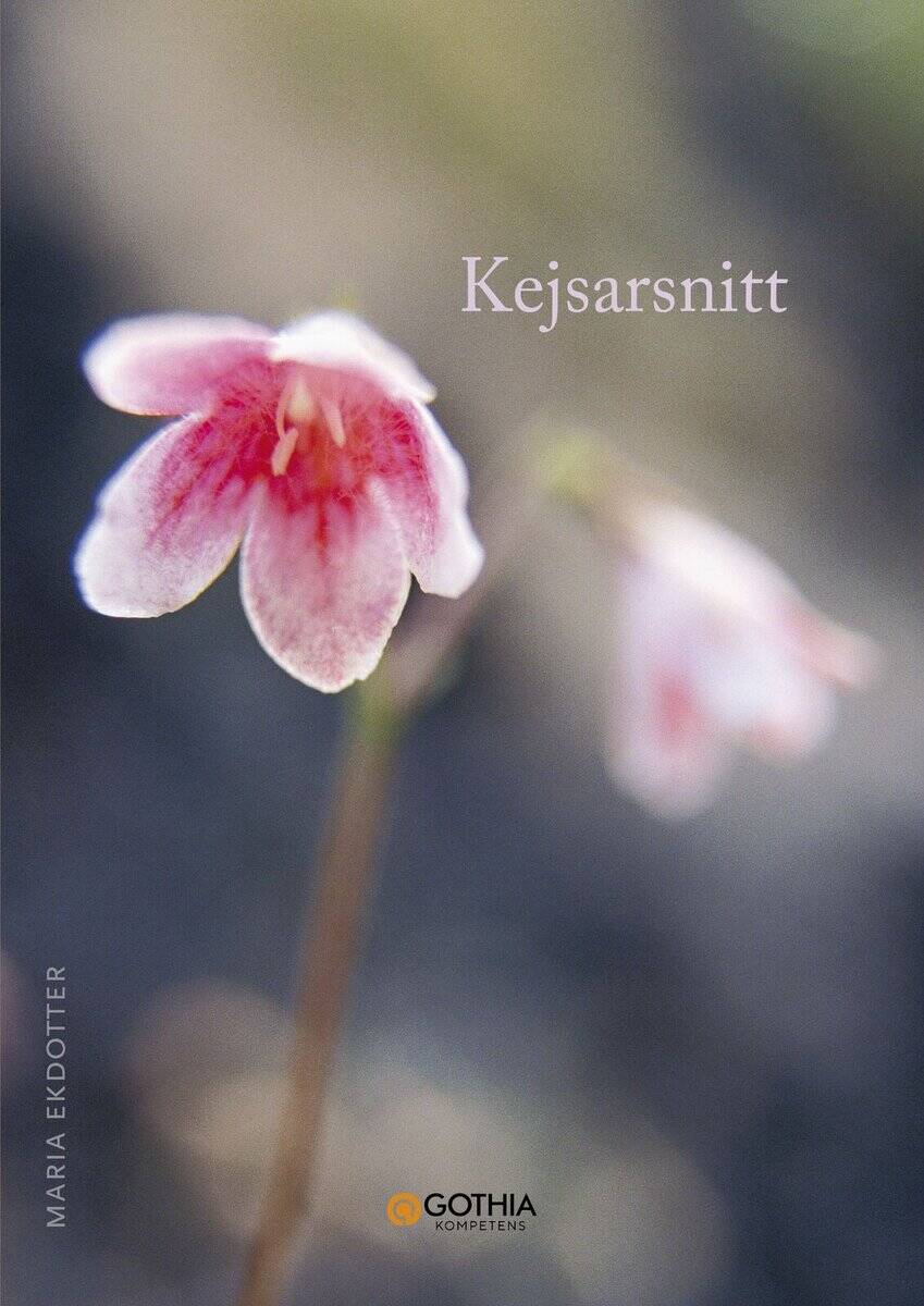 Maria Ekdotter : Kejsarsnitt