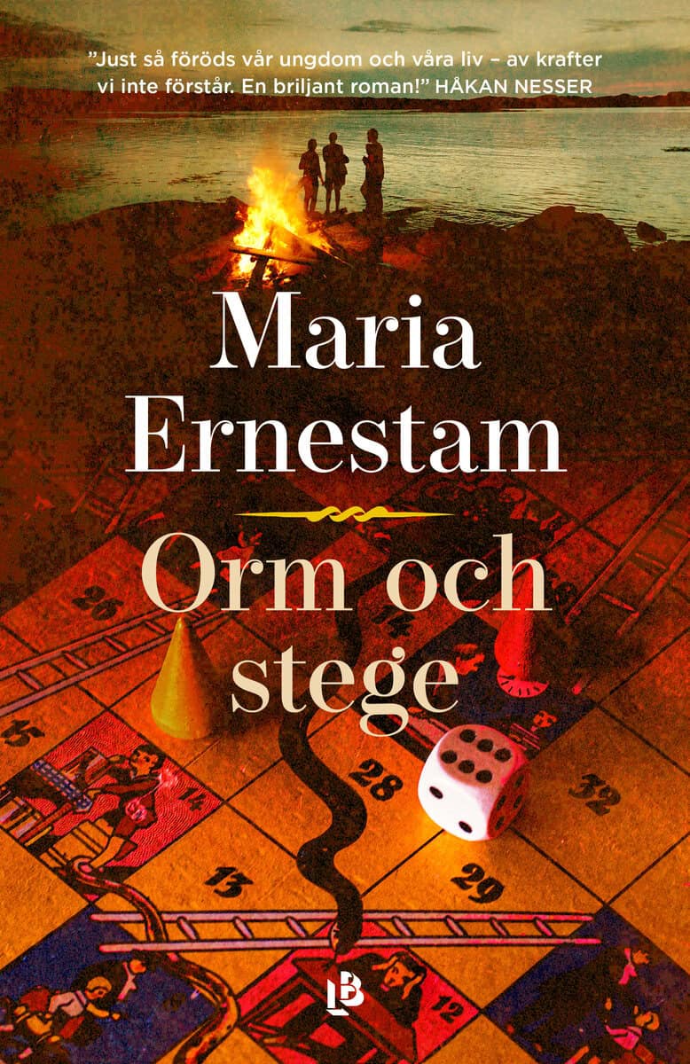 Maria Ernestam : Orm och stege