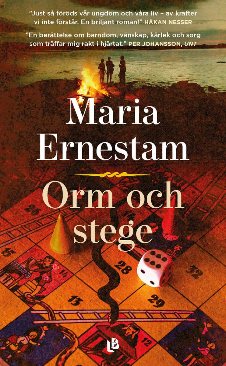 Maria Ernestam : Orm och stege