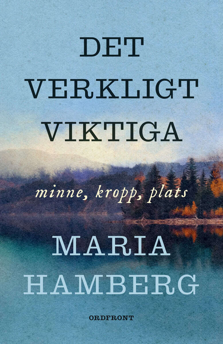 Maria Hamberg : Det verkligt viktiga : minne, kropp, plats