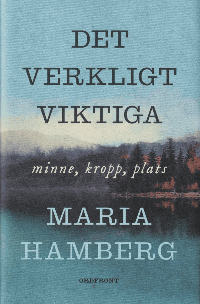 Maria Hamberg : Det verkligt viktiga