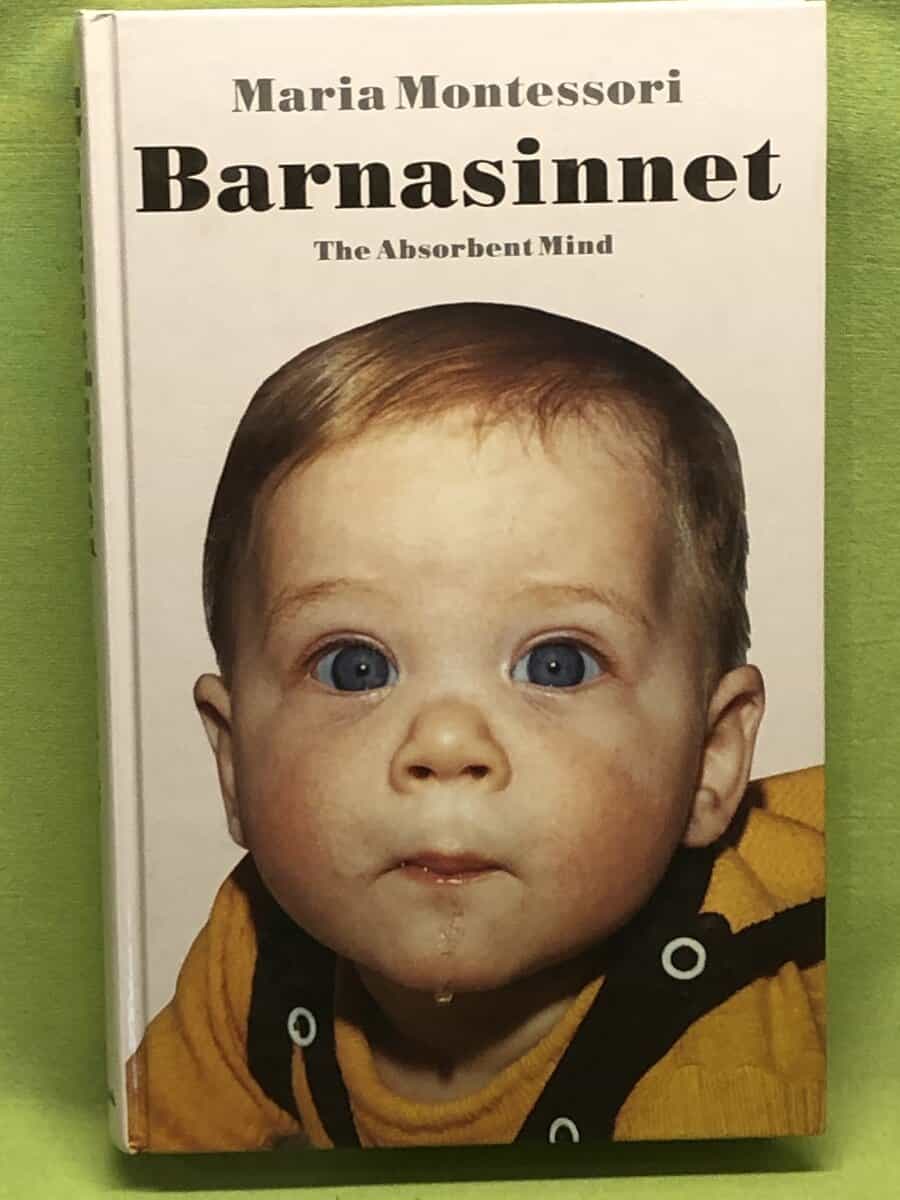 Maria Montessori : Barnasinnet