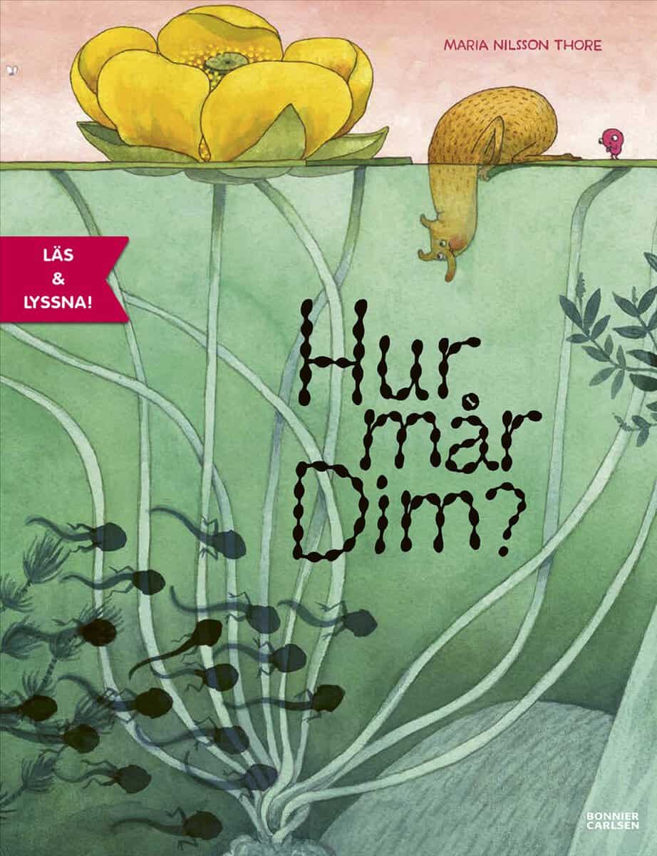 Maria Nilsson Thore : Hur mår Dim?
