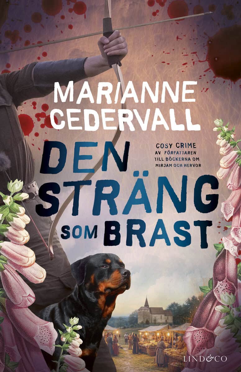 Marianne Cedervall : Den sträng som brast