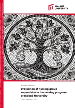 Marianne Kisthinios : Evaluation of nursing group dupervision in the nursing program at Malmö University