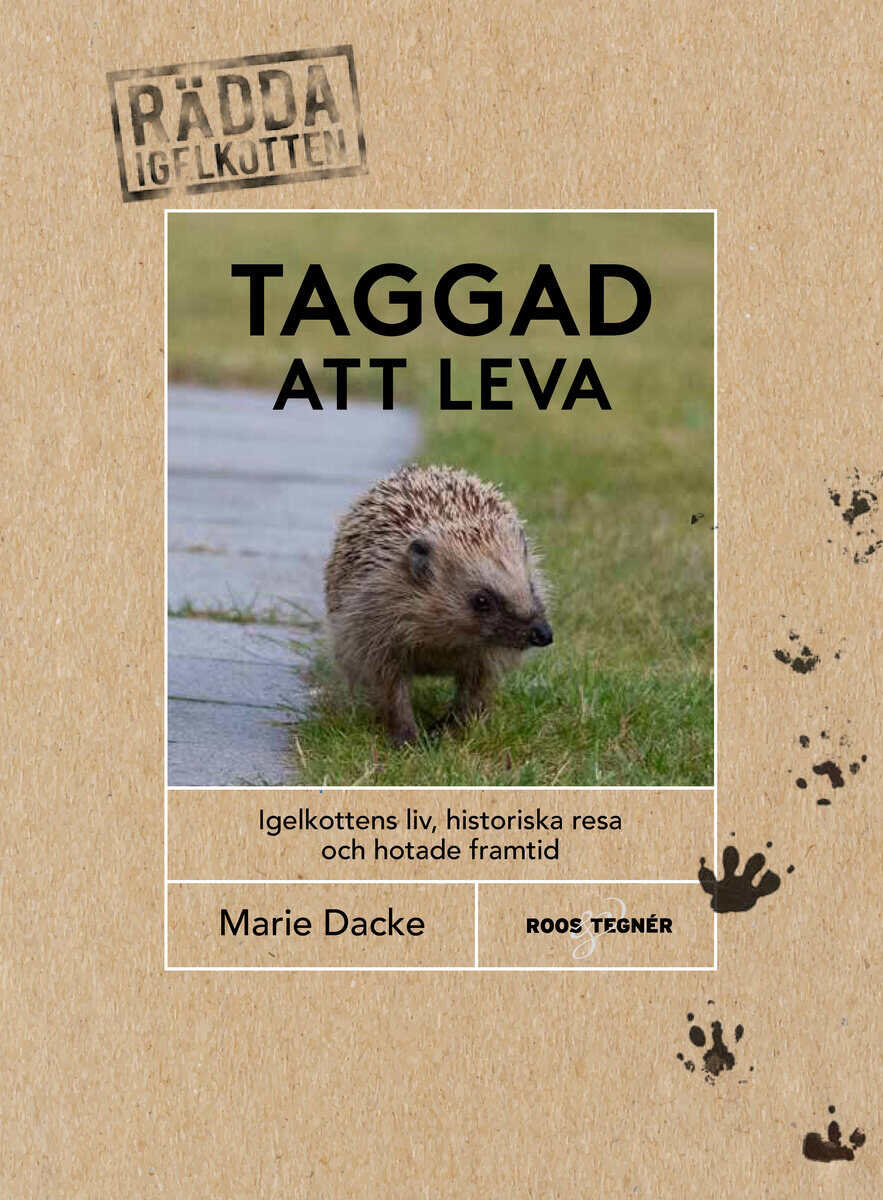 Marie Dacke : Taggad att leva : igelkottens liv, historiska resa och hotade framtid
