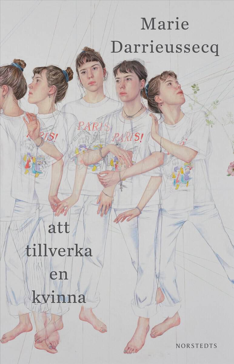 Marie Darrieussecq : Att tillverka en kvinna