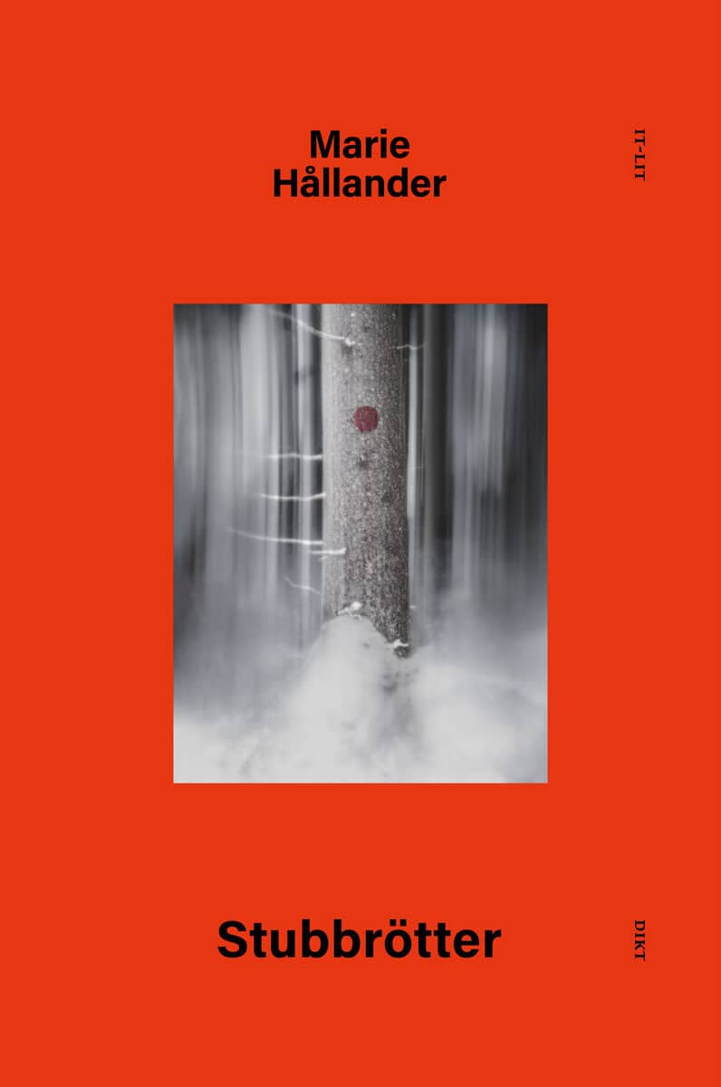 Marie Hållander : Stubbrötter