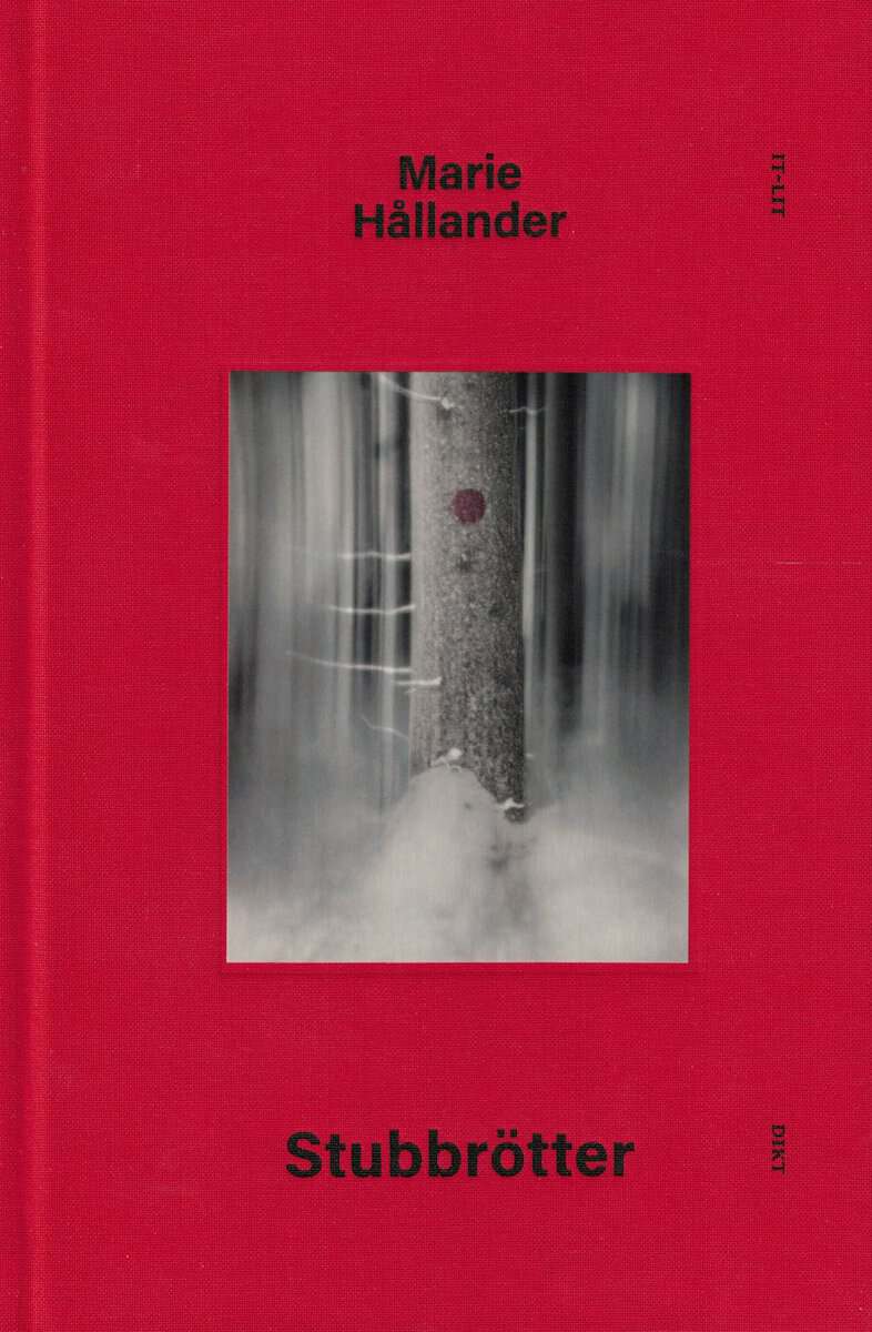 Marie Hållander : Stubbrötter