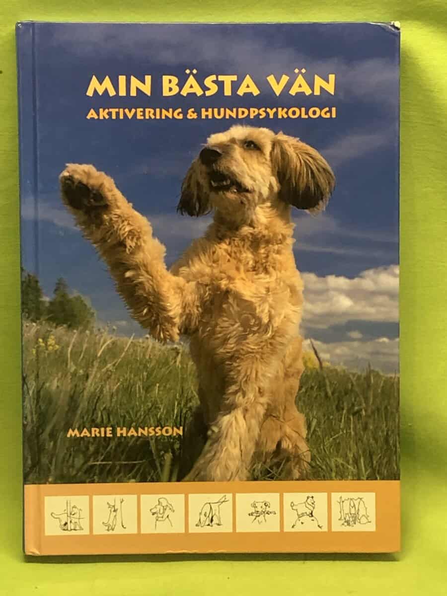 Marie Hansson : Min bästa vän