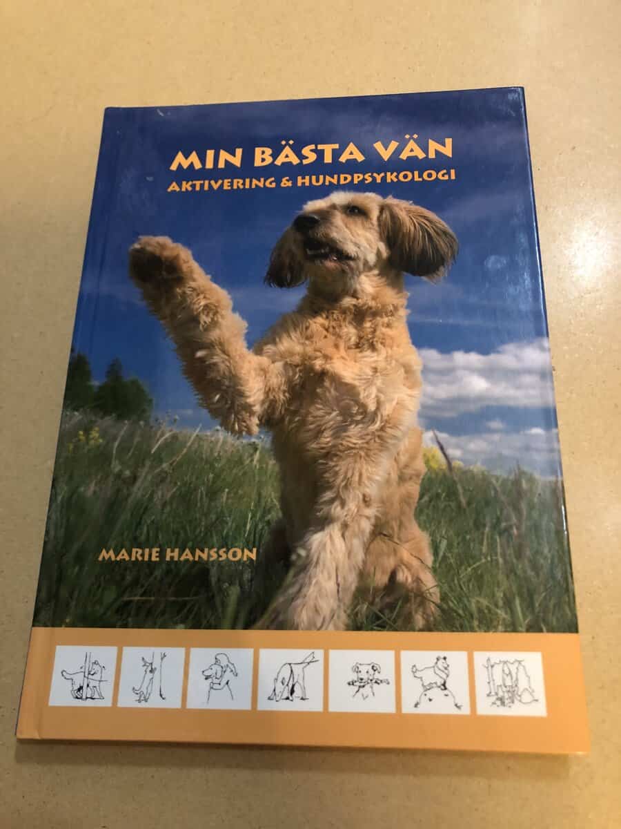 Marie Hansson : Min bästa vän aktivering & hundpsykologi