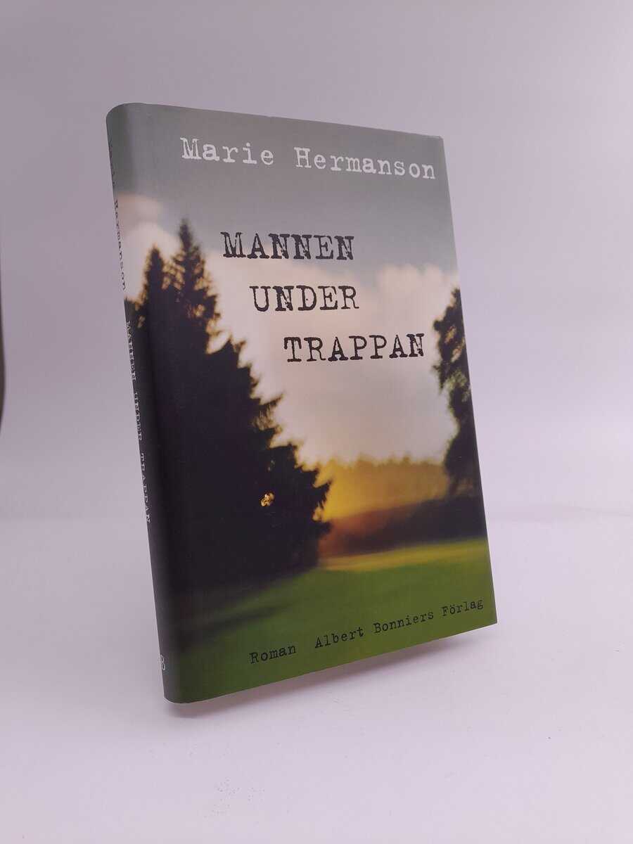 Marie Hermanson : Mannen under trappan