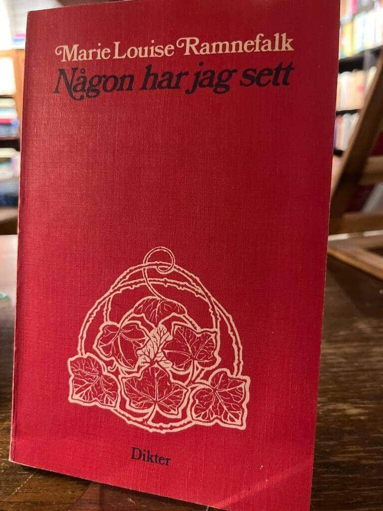 Marie Louise Ramnefalk : Någon har jag sett