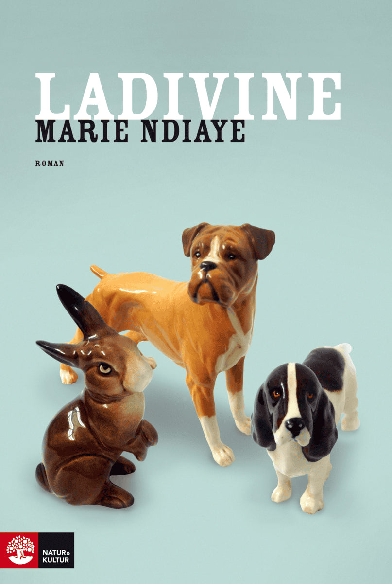 Marie NDiaye : Ladivine